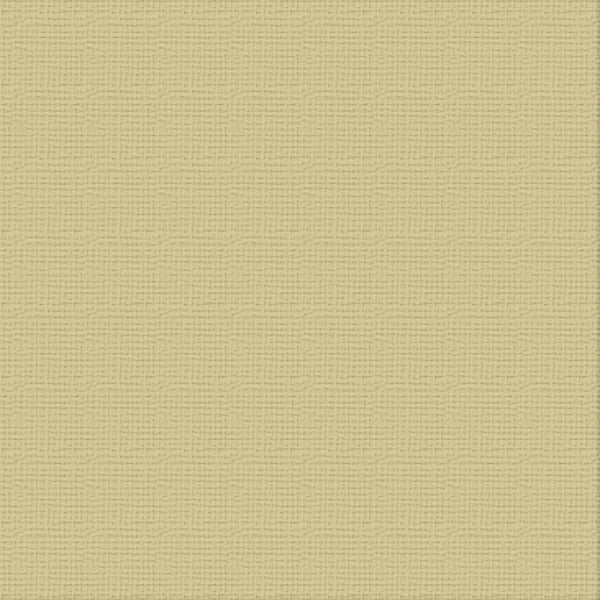 Couture Creations 12"x12" Textured Cardstock - Driftwood (Single Sheet) 250GSM
