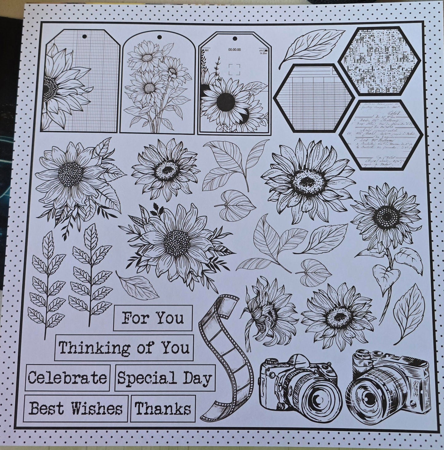 Bee Arty Happy Snaps 12"x12" Single Colour and Cut Sheet