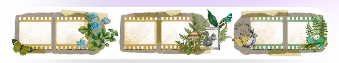 Arden Creative Studio Hidden Creek Filmstrip Kiss-Cut PET Tape