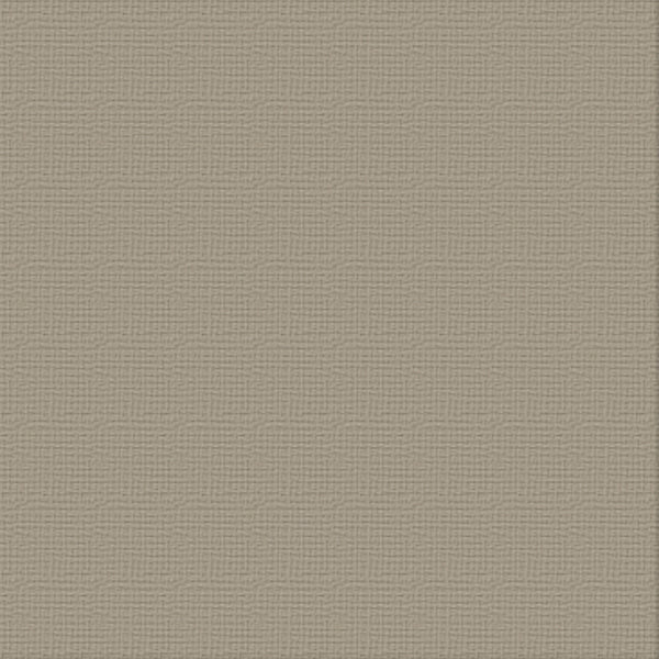 Couture Creations 12"x12" Textured Cardstock - Silver Star - Ash (Single Sheet) 216GSM