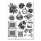 3 Quarter Designs Serenade A4 Acetate Sheet