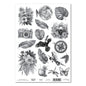 3 Quarter Designs Tropic A4 Acetate Sheet