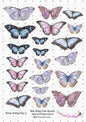 Bee Arty Book Butterfly 1 Cut a Part Sheet