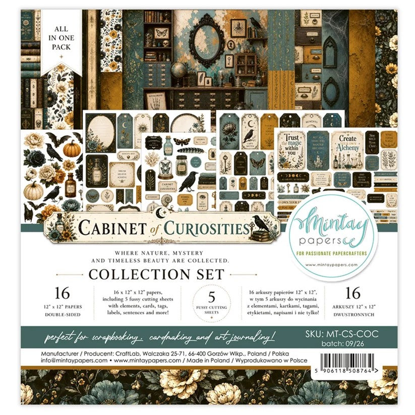 Mintay Cabinet of Curiosities 12"x12" Collection Set