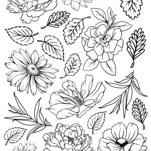 3 Quarter Design A4 Florals Acetate Sheet