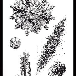 Arden Creative Studio Frosted Charm Stamp Set