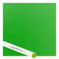 Couture Creations Twin Tip Alcohol Ink Marker - Light Misty Green (358)