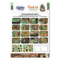 3 Quarter Designs Punk'ed Forest 6"x4" Card Making Pack
