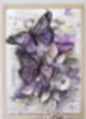Purple Butterfly 30cm x 40cm Diamond Dot Painting Kit