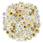 Uniquely Creative Sweet as Honey Vellum Creative Cuts