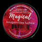 Lindy's Gang Bougainvillea Fuchsia Magical Jar