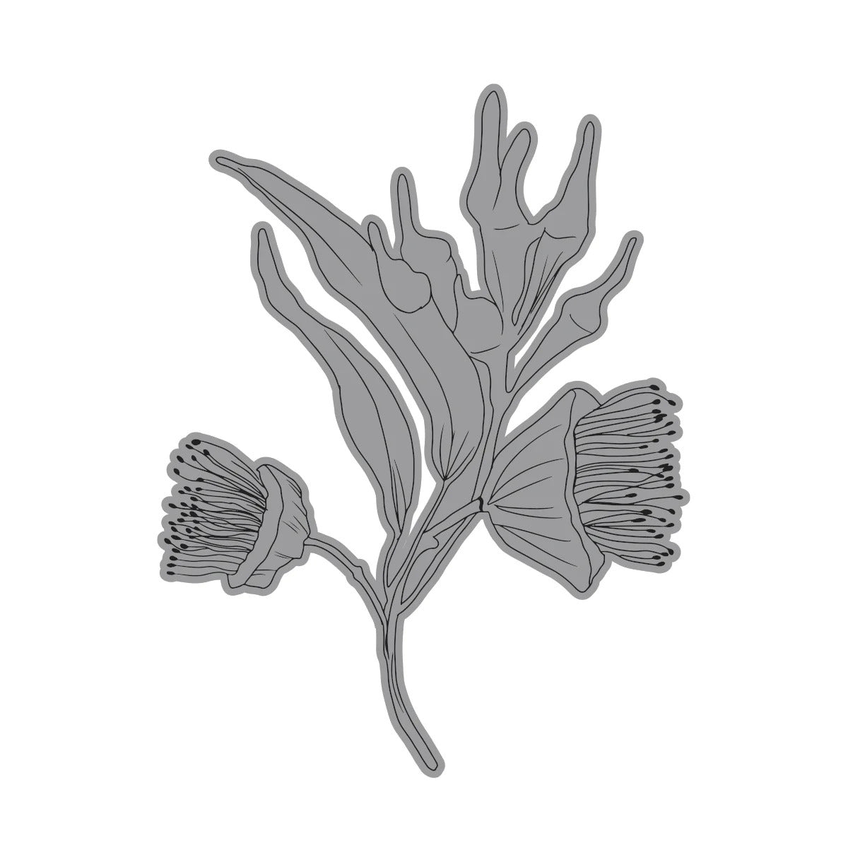 Couture Creation Australia the Lucky Country Flowering Gum Stamp