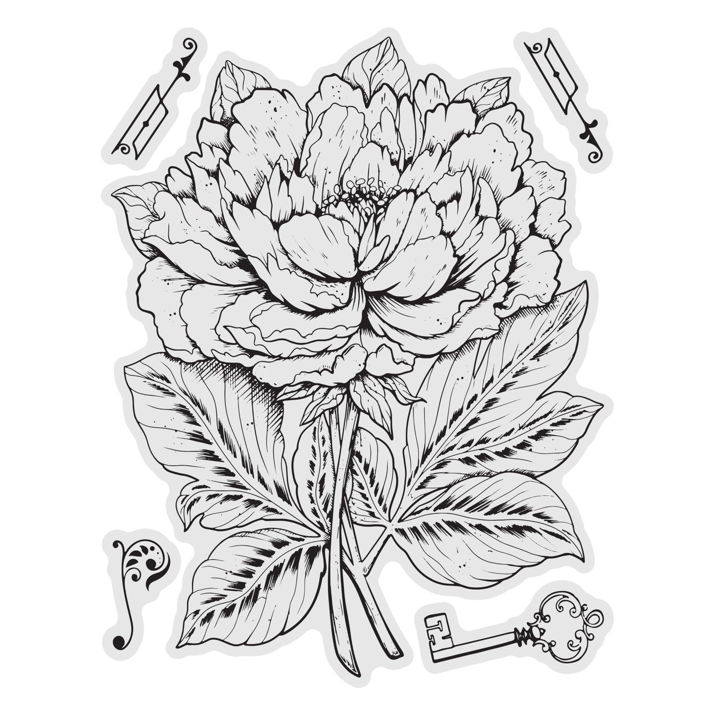 Couture Creations Peony Stamp and Colour Set (5pc)