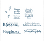 Couture Creations Floral Sentiments Stamp Set (10pc)